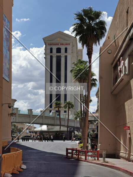 Photo 411-344-675