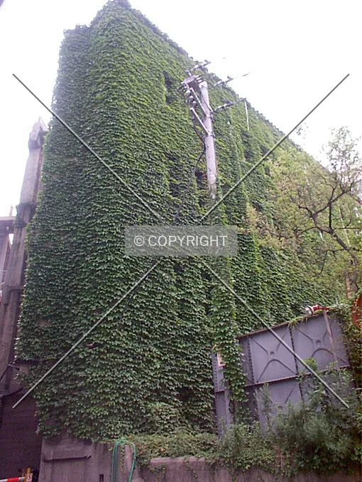 Photo 411-377-080