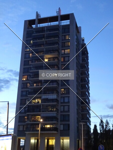 Photo 411-451-226
