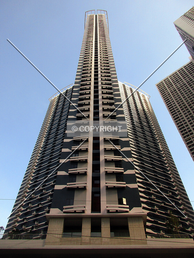 Photo 411-981-234