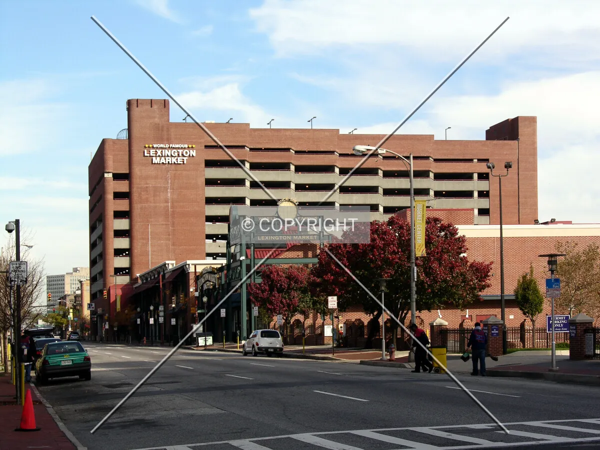 View from the south