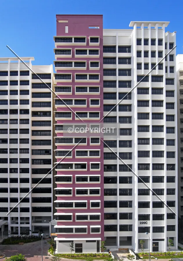 View from the north