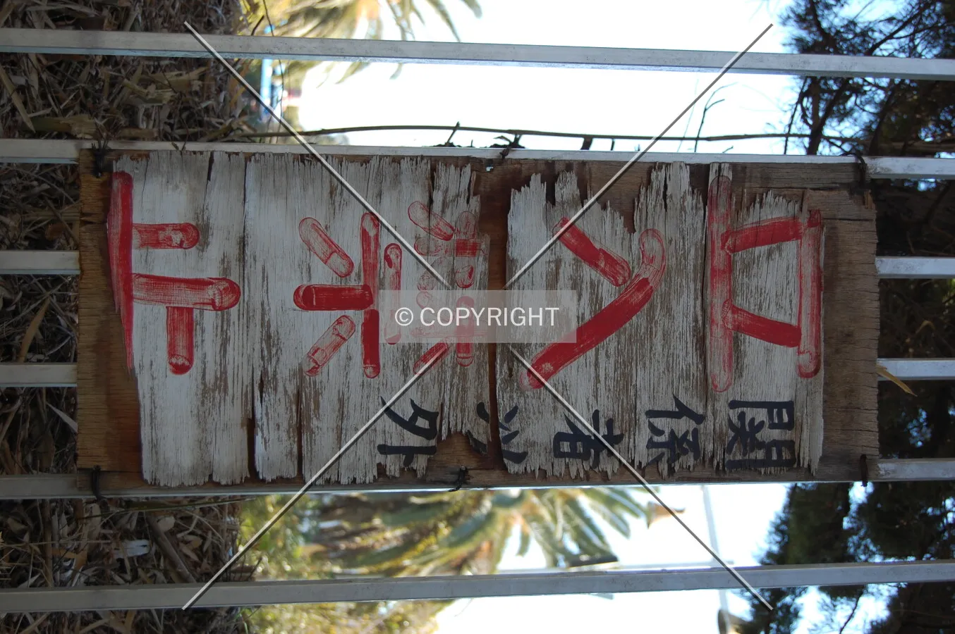 Photo 412-337-473