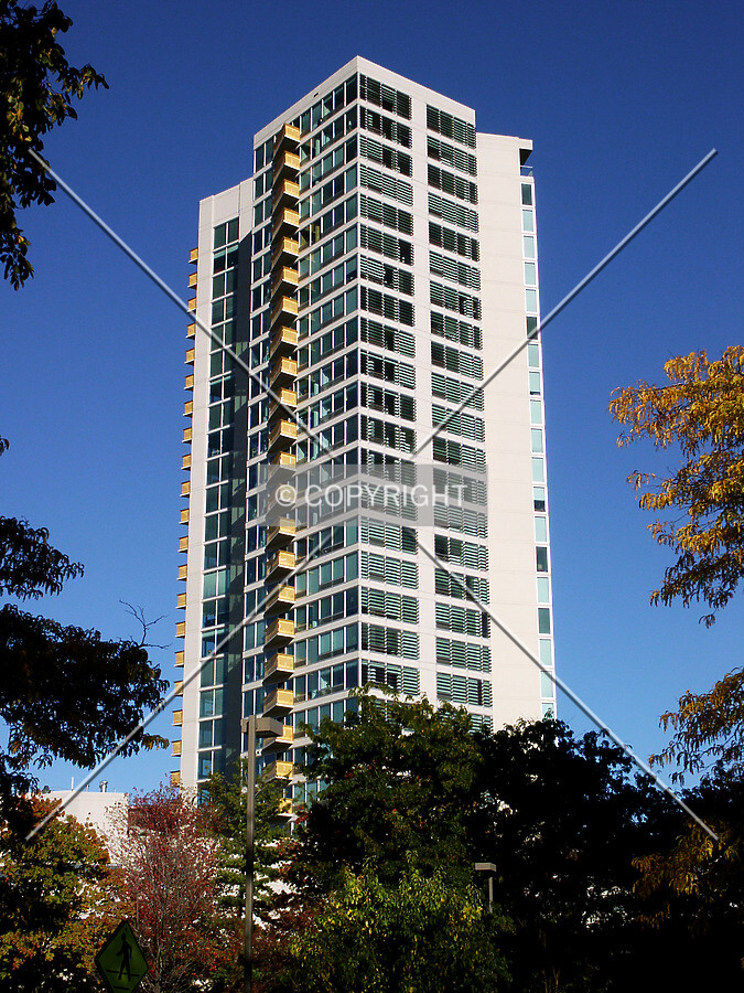 West side from Oak Avenue