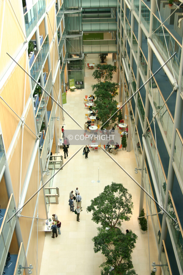 Looking down and east from a fifth floor skybridge