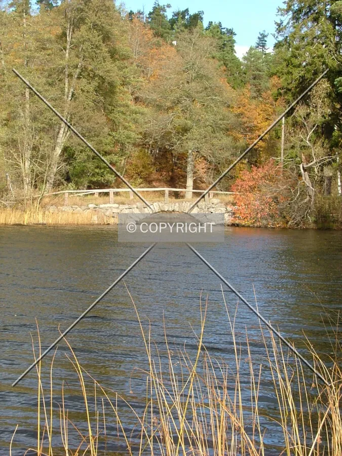 Photo 412-885-474