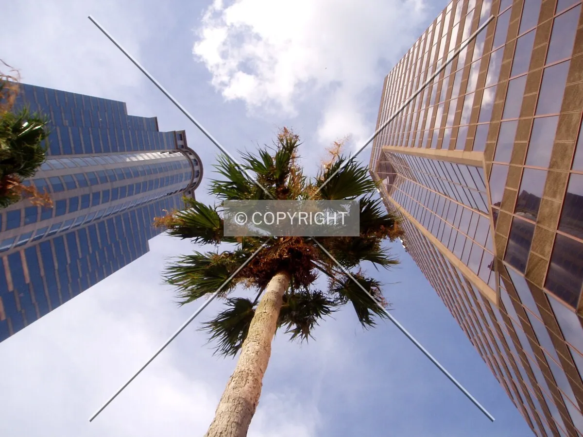 Looking up between the AmSouth Building (left) and Wachovia Center