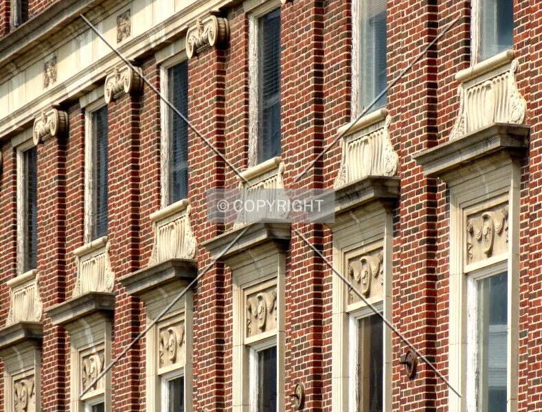 Photo 413-303-454