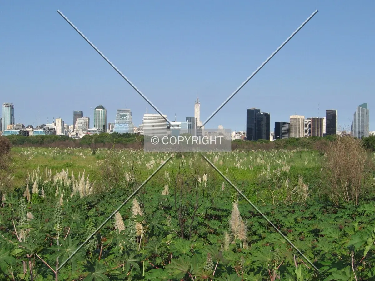 Buildings from ecological reservation