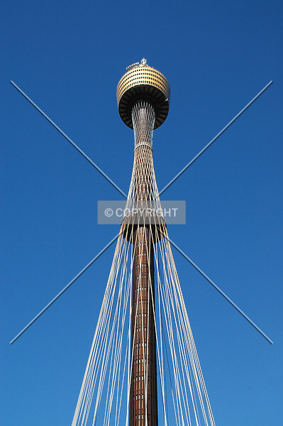 Photo 414-217-013