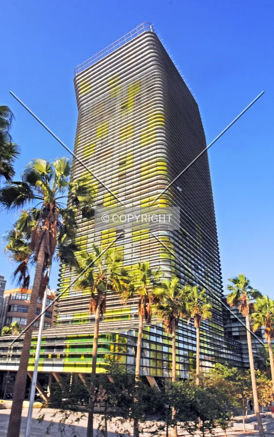 Torre Woermann