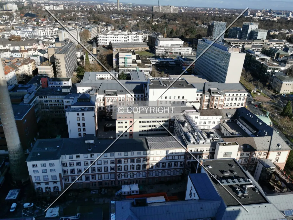 As seen from Senckenberg Turm