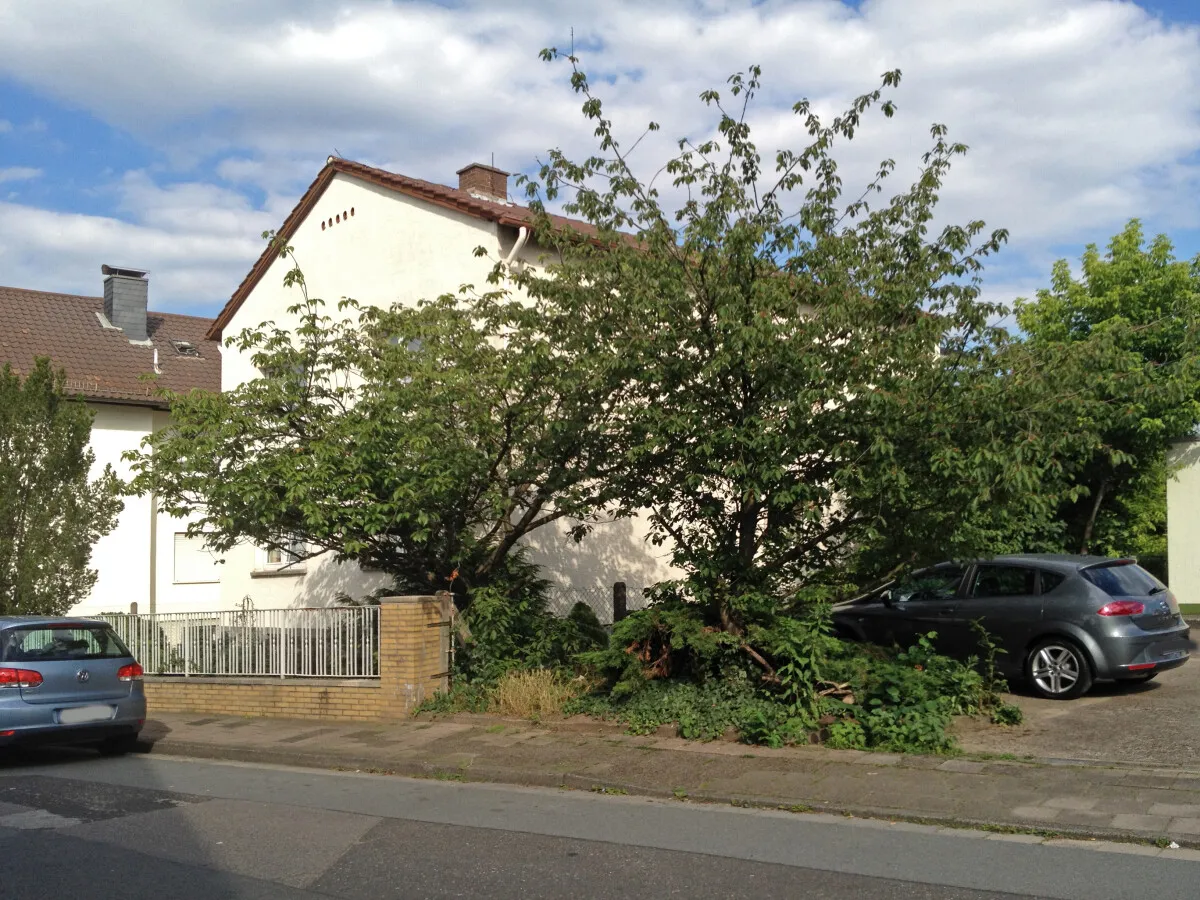Photo 415-148-783