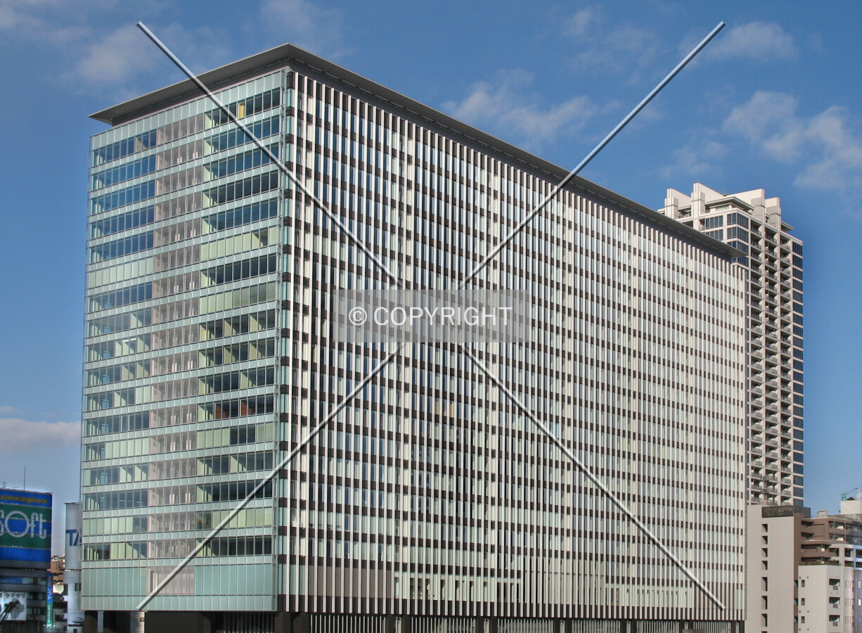 View from the southeast
