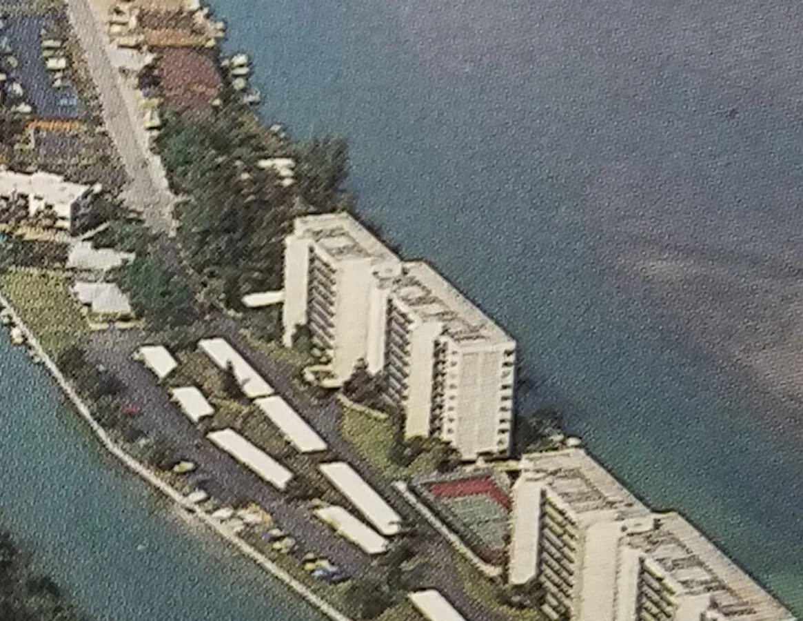 Vintage aerial