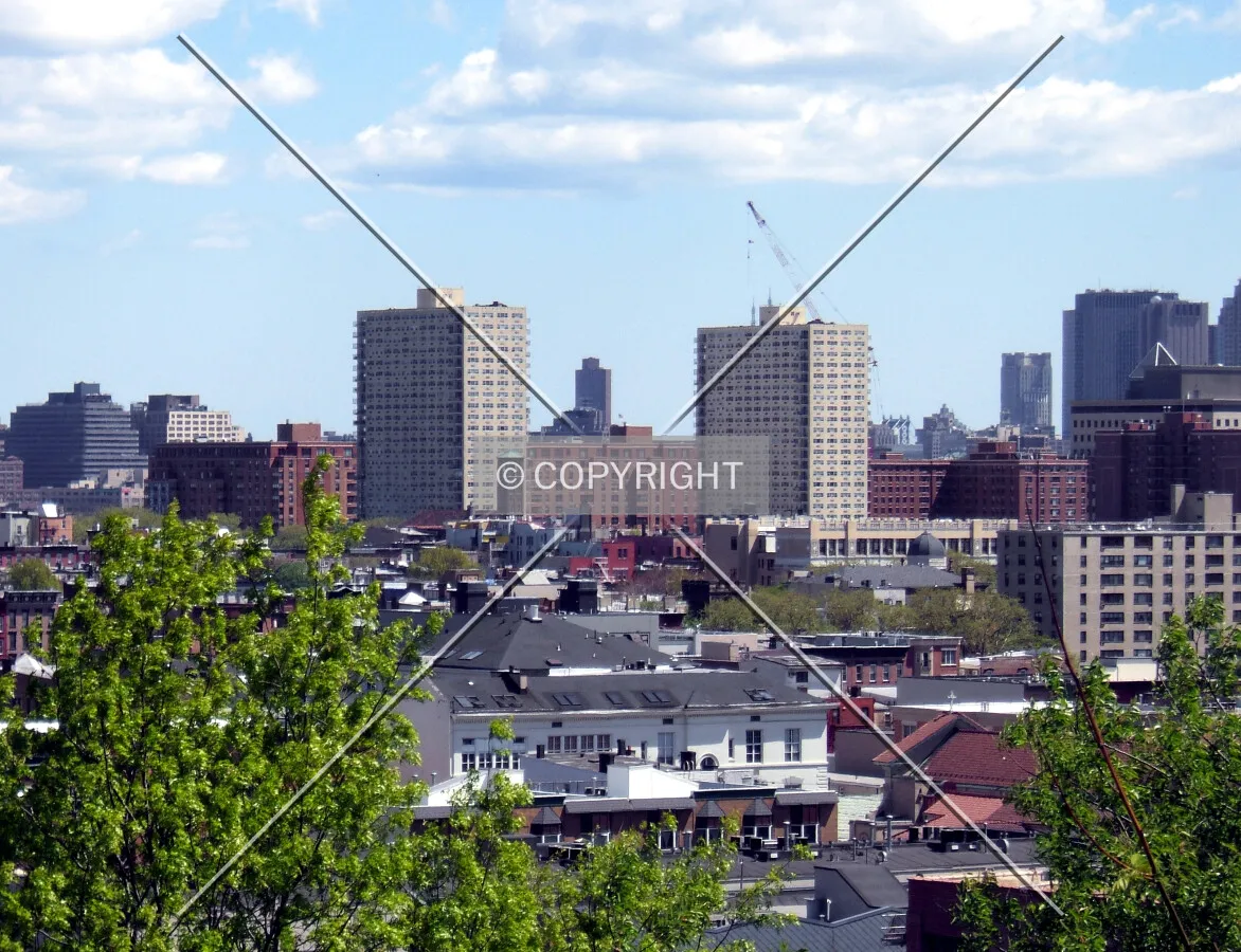 View from the northwest