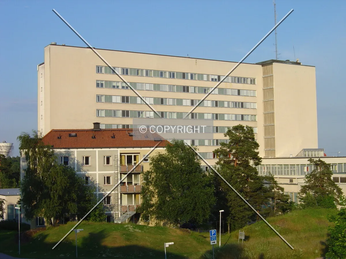 View from the south
