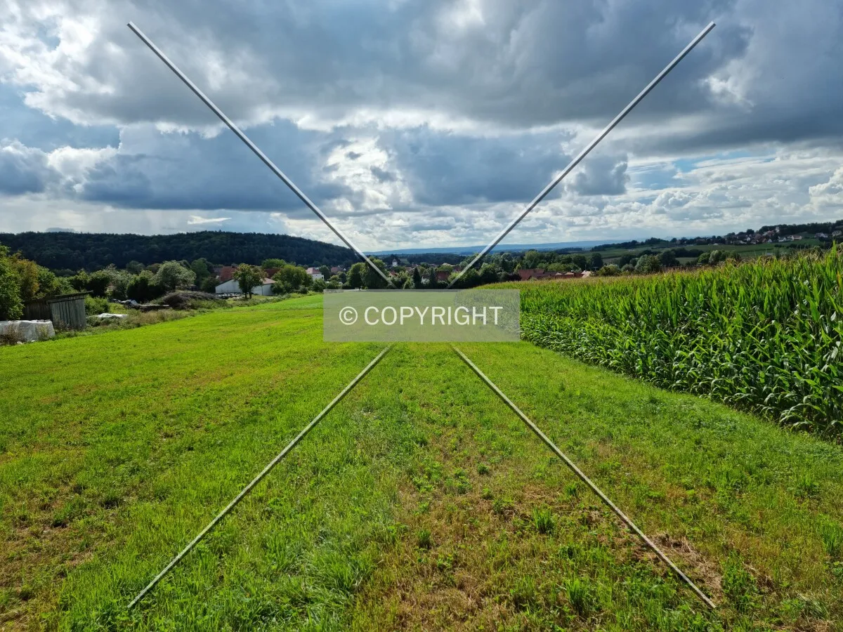 Photo 417-025-887