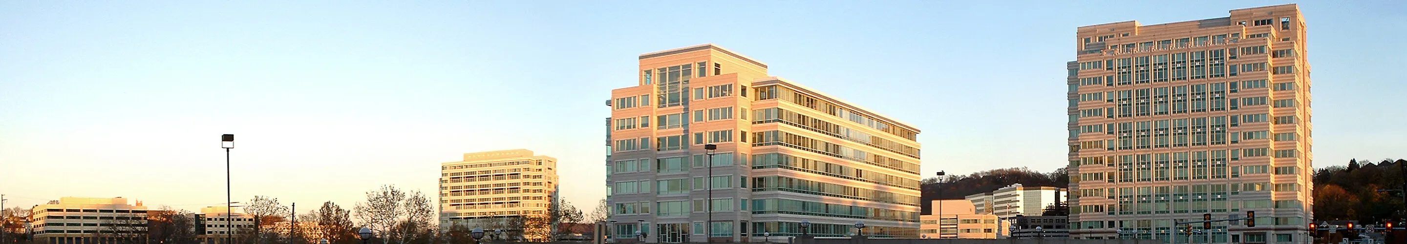 View from the west