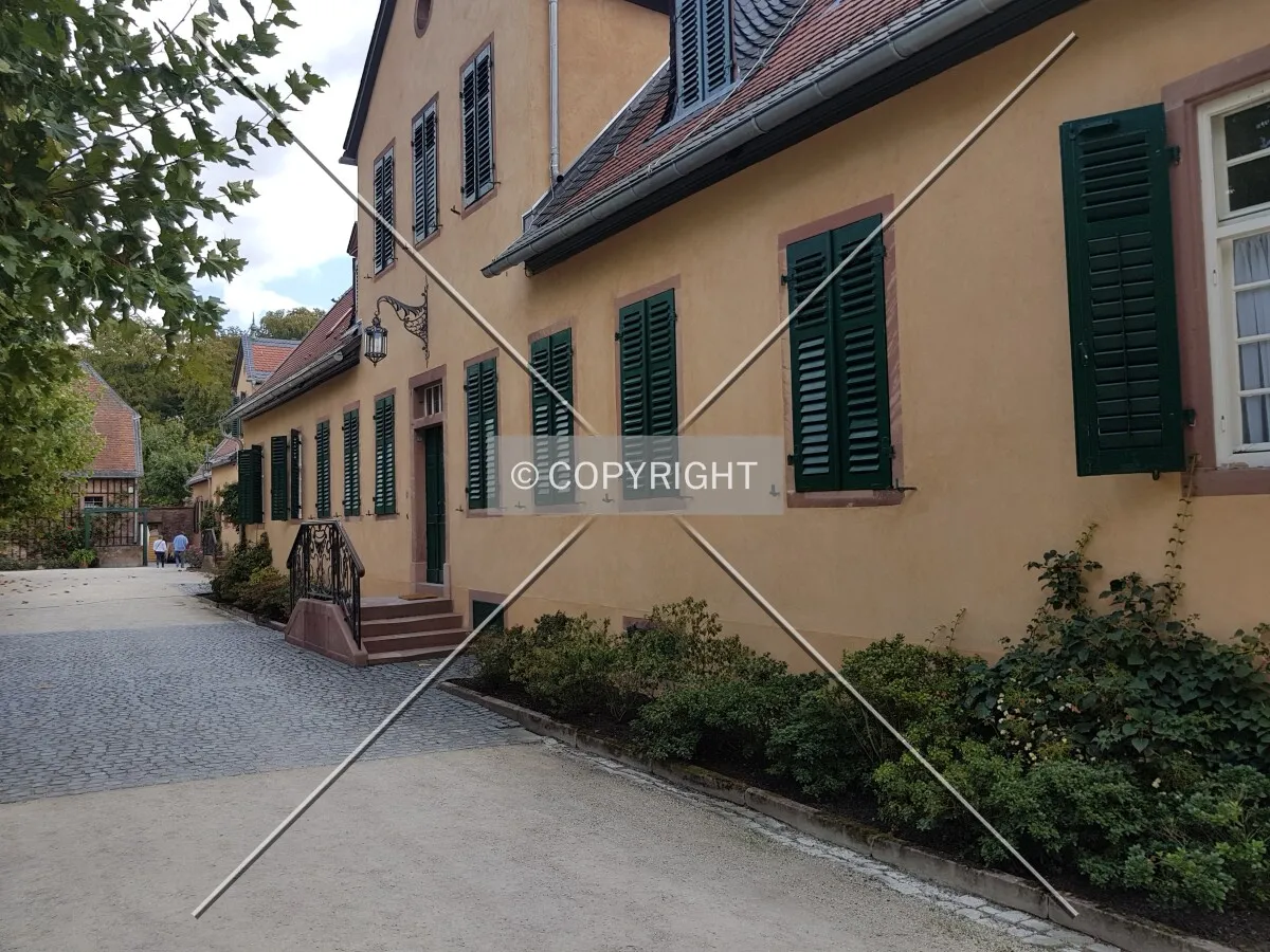 Schloß Wolfsgarten in 2018