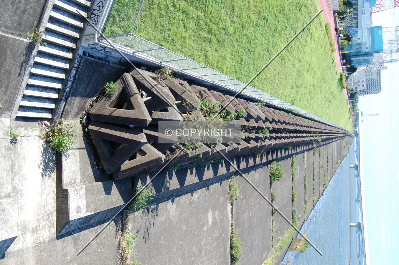 Photo 419-045-506