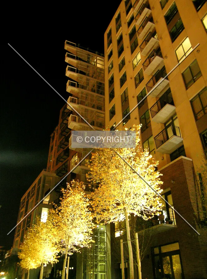 Southwestern view at night