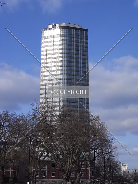 Photo 420-019-939