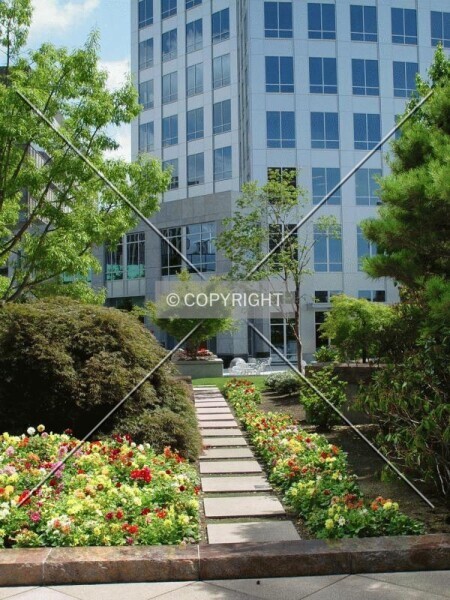 Photo 420-113-778