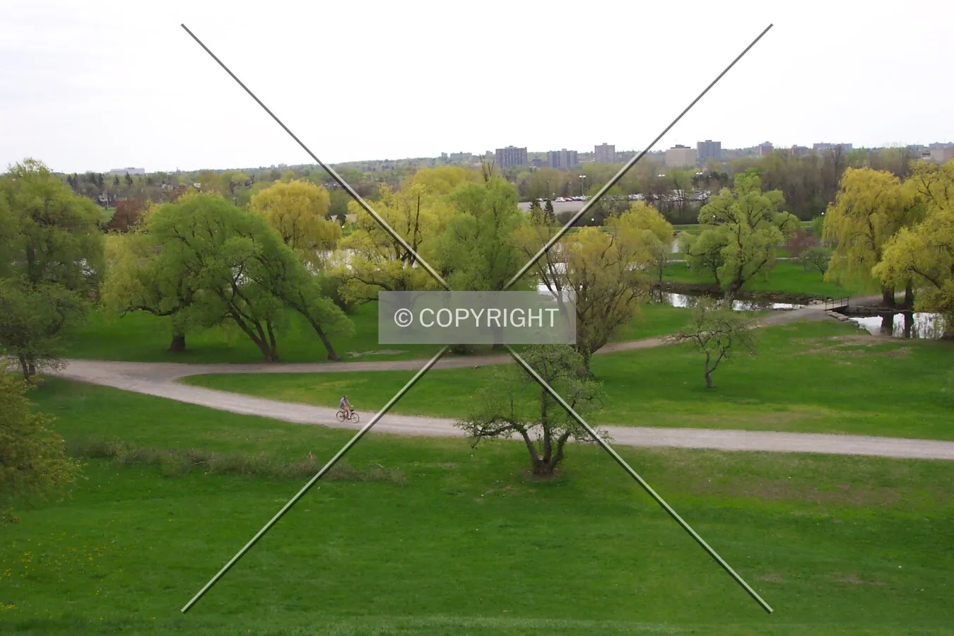 Looking down at the Arboritum at the Central Experimental Farm