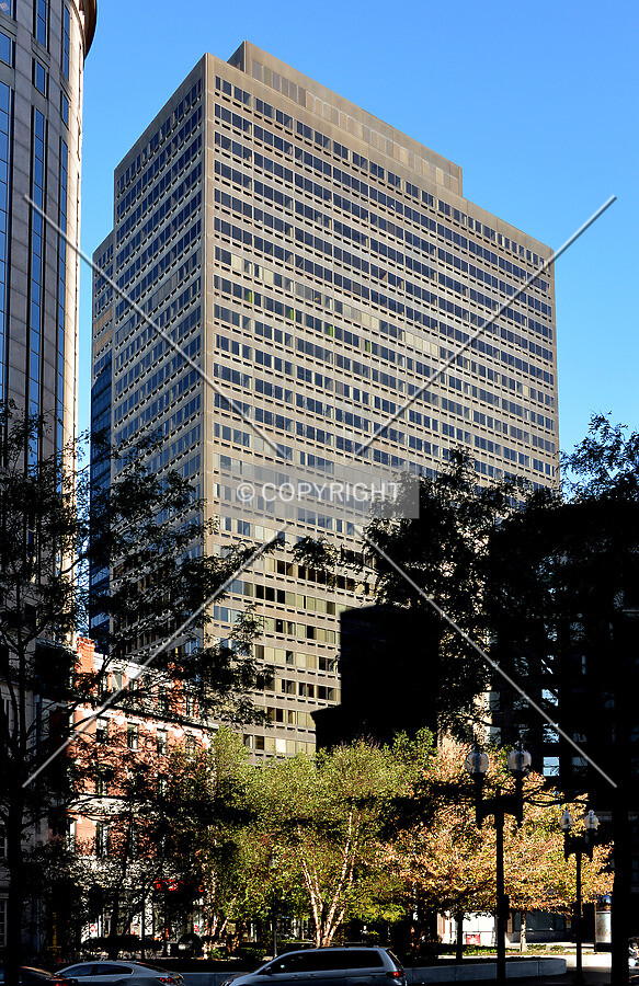 View from the southeast