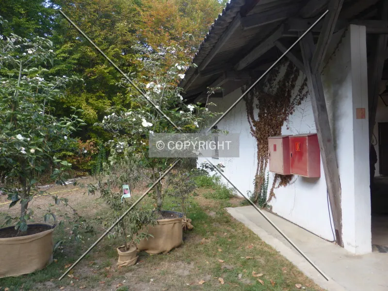 Photo 420-207-775