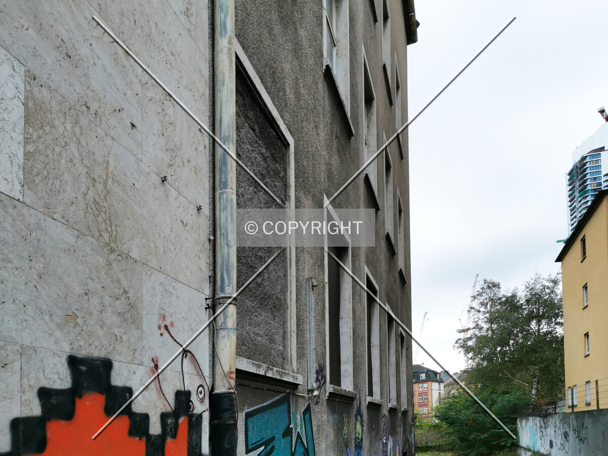 Photo 420-338-785
