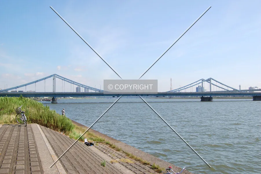 Photo 420-443-090