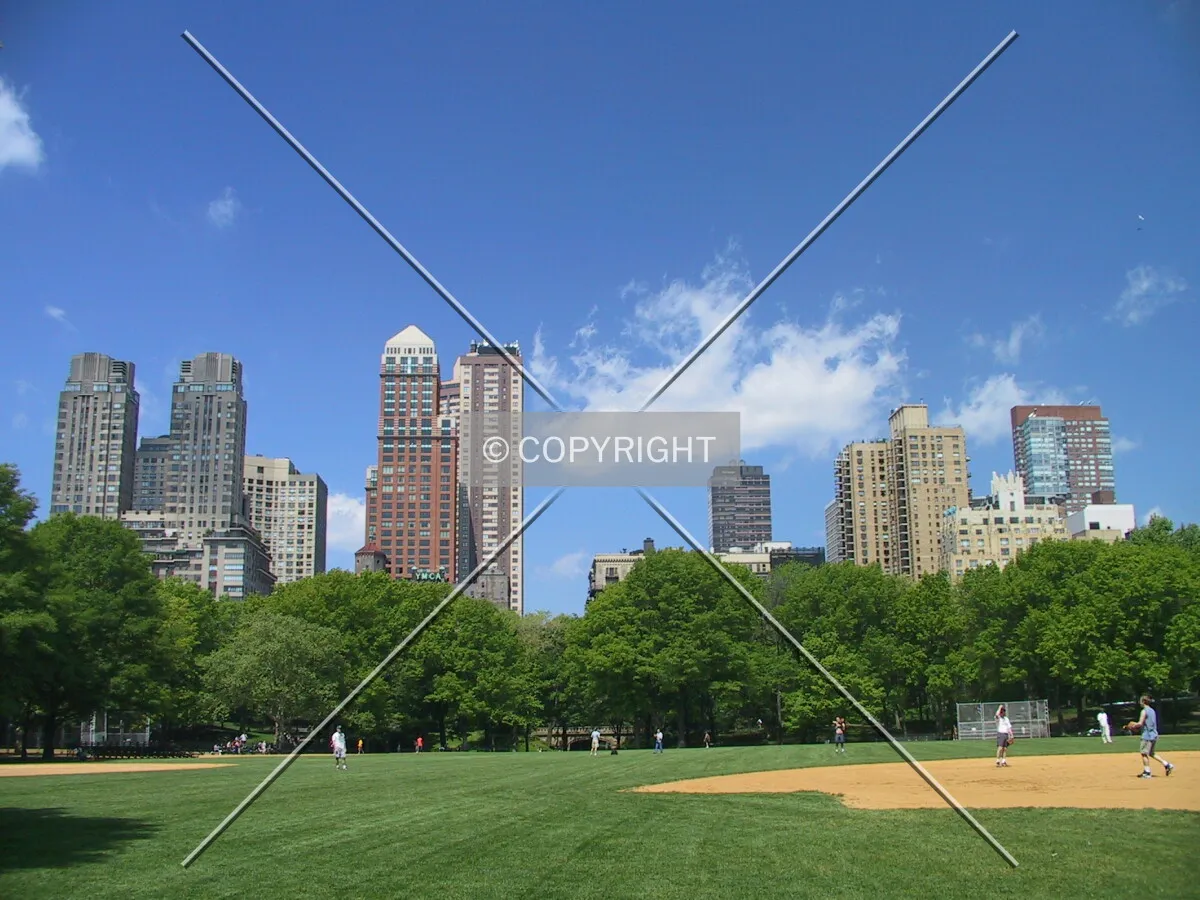 View from Central Park