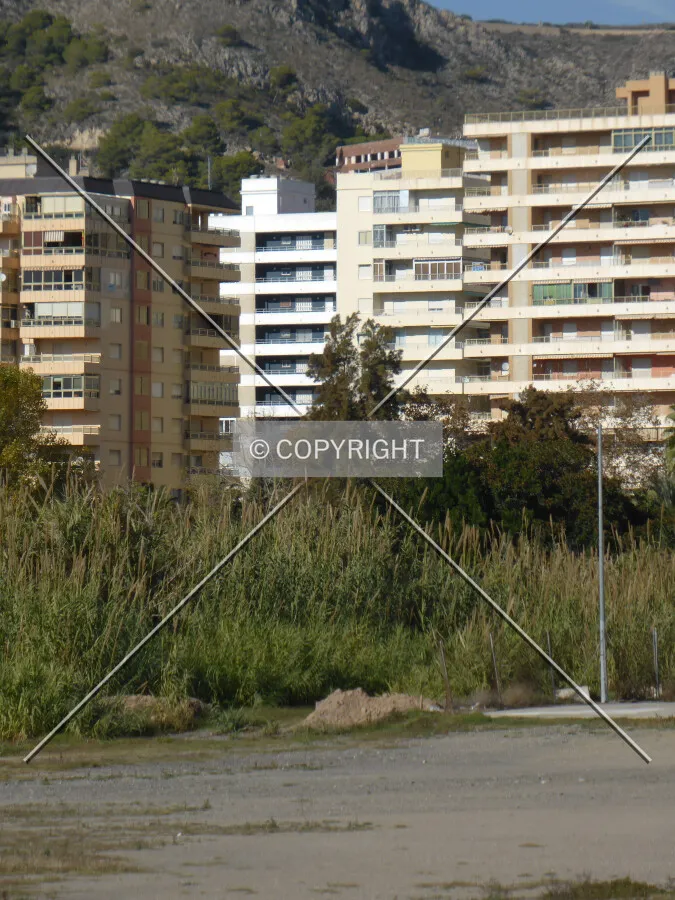 Photo 004-209-897