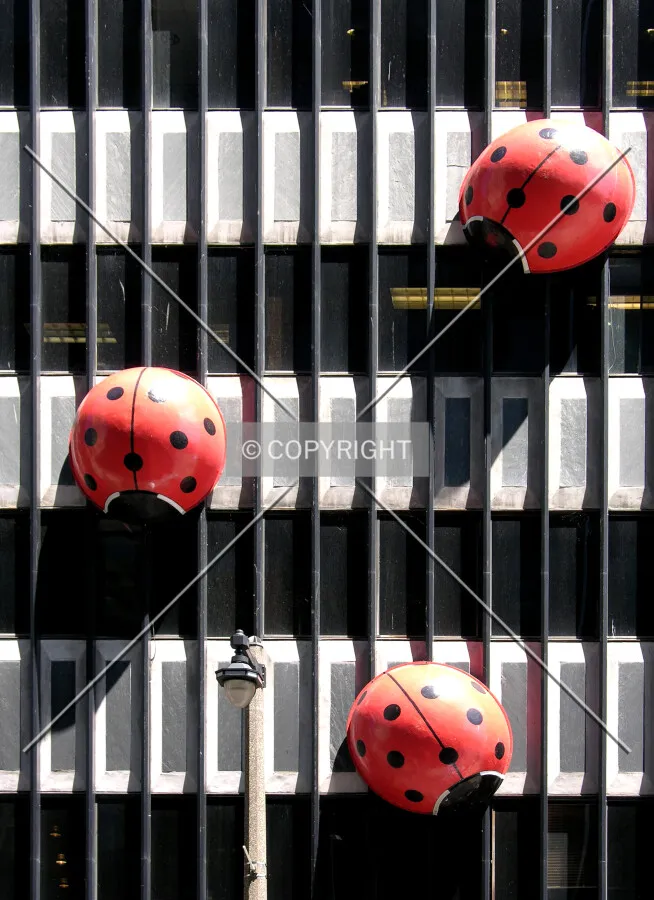 Ladybug detail on the Water Street facade