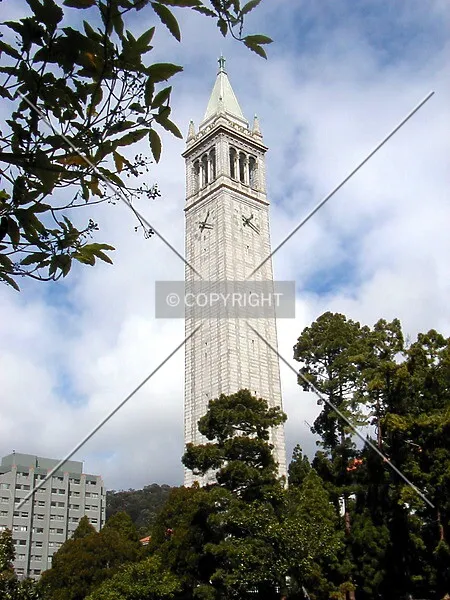 Photo 421-619-979