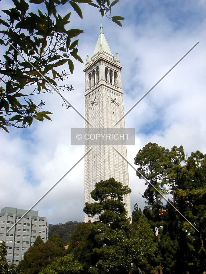 Simply The Campanile