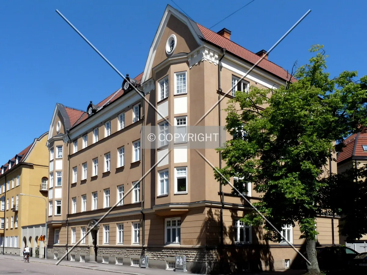 View from across the street