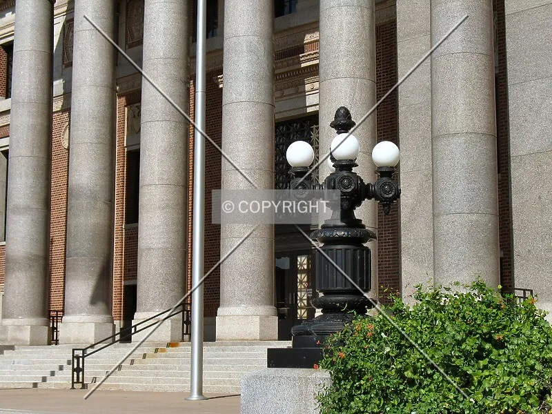 Photo 422-749-838