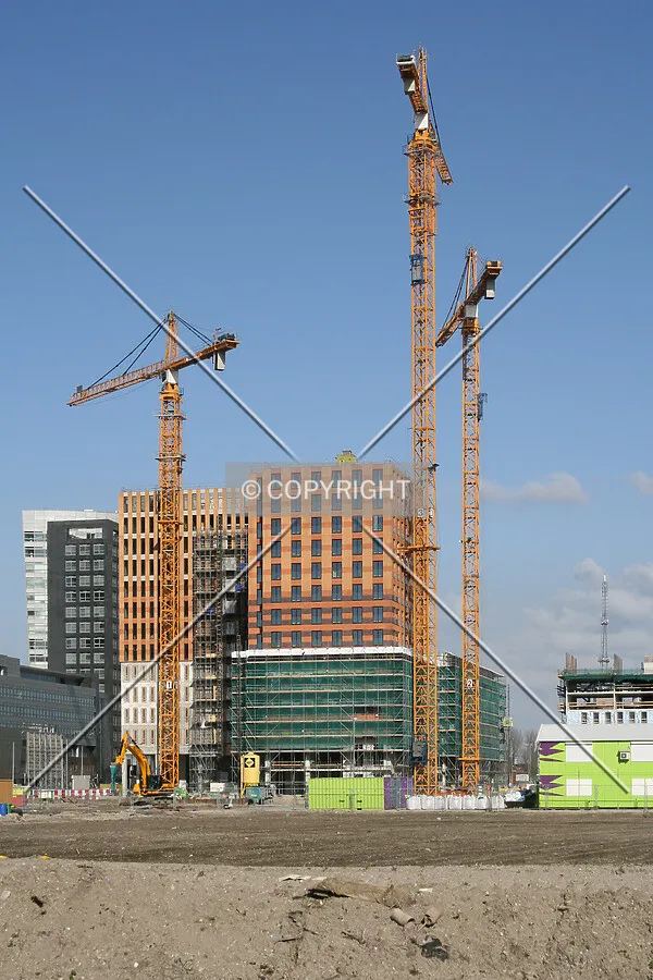 View from the west