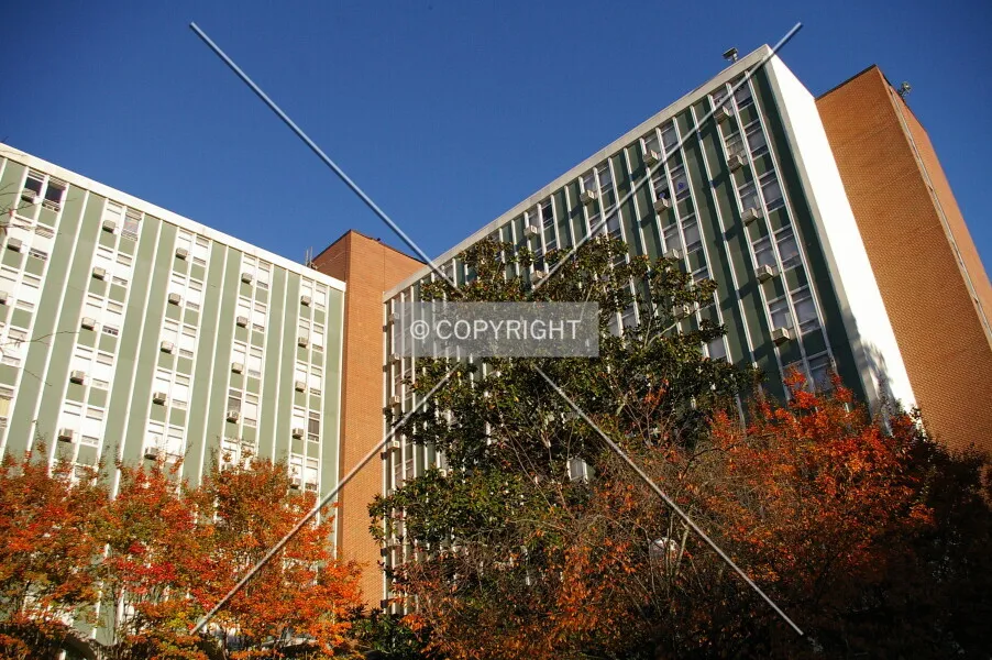 Photo 423-097-539