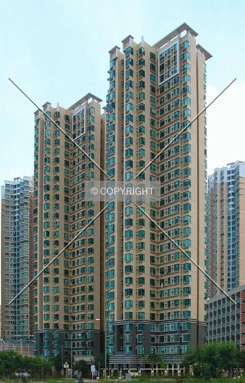 From Hoi Wing Road
