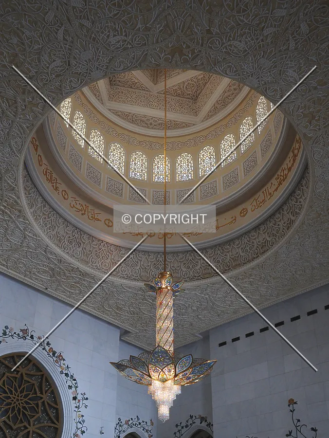 Photo 423-253-031