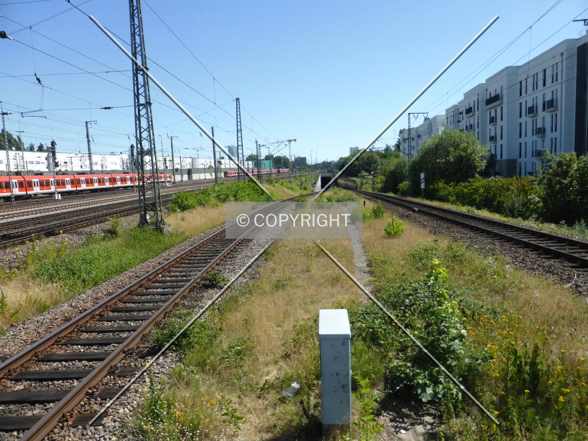 Photo 423-433-331