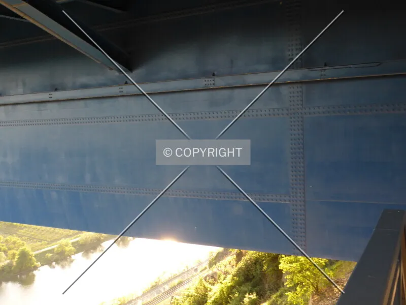 Photo 423-839-142