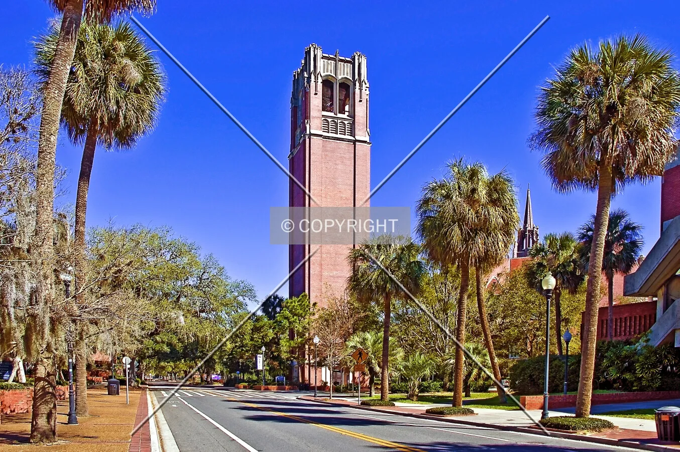 Century Tower, University of Florida, Gainesville, Florida, U.S.A.