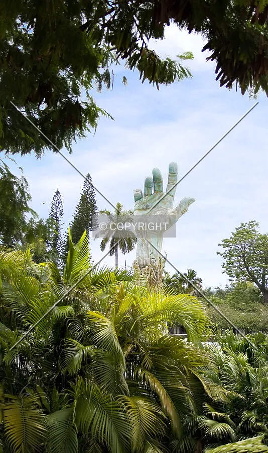 Through the lush foliage from the northwest