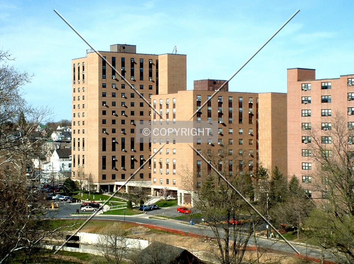 View from the southwest