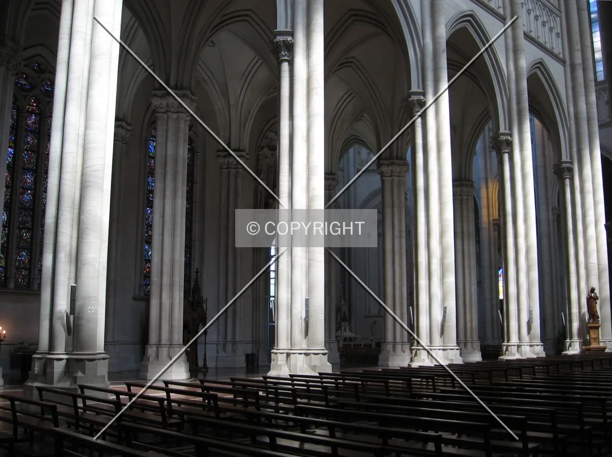 Photo 424-702-273